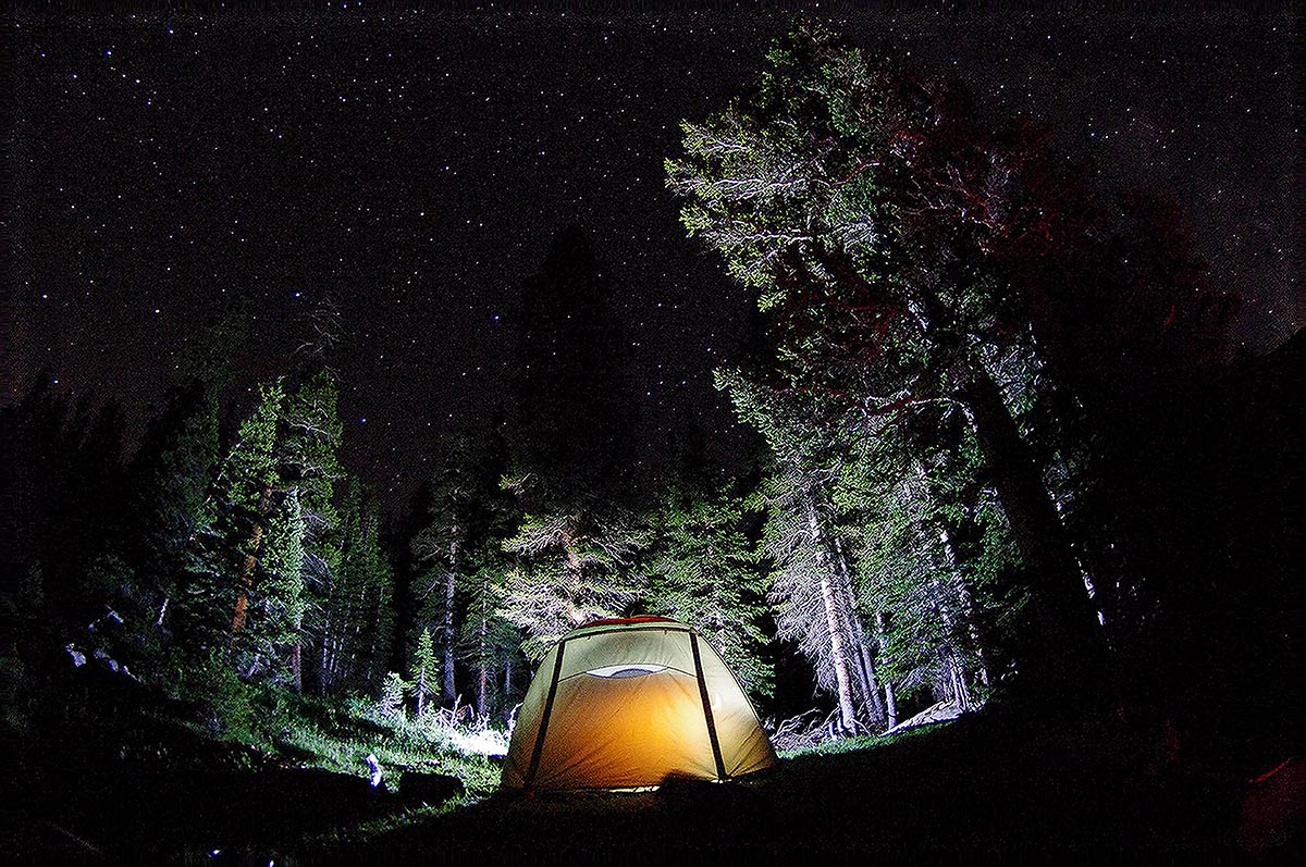 Camping in a tent in the forest, under the night sky